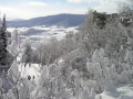 P1010084.JPG